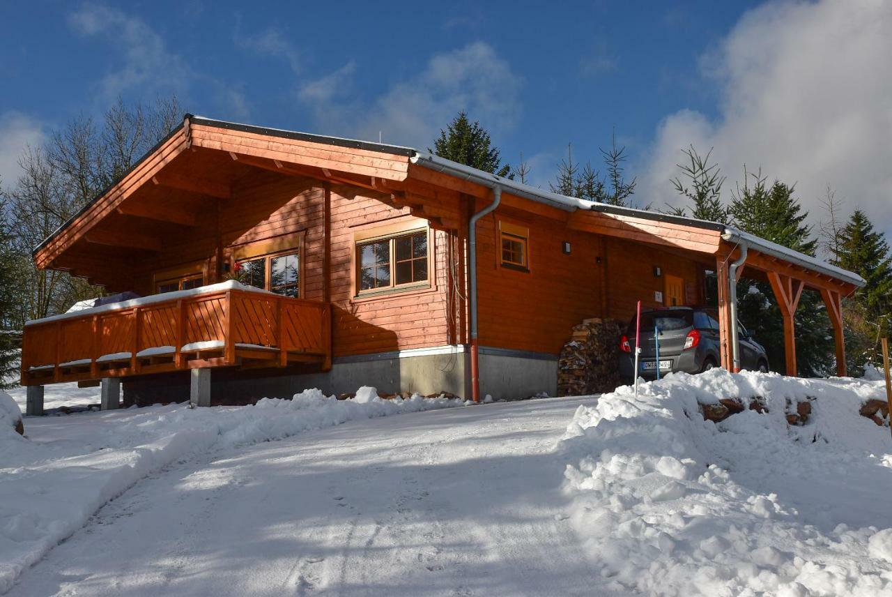 Erzgebirgsholzhaus Am Lugstein Villa Altenberg Exterior photo